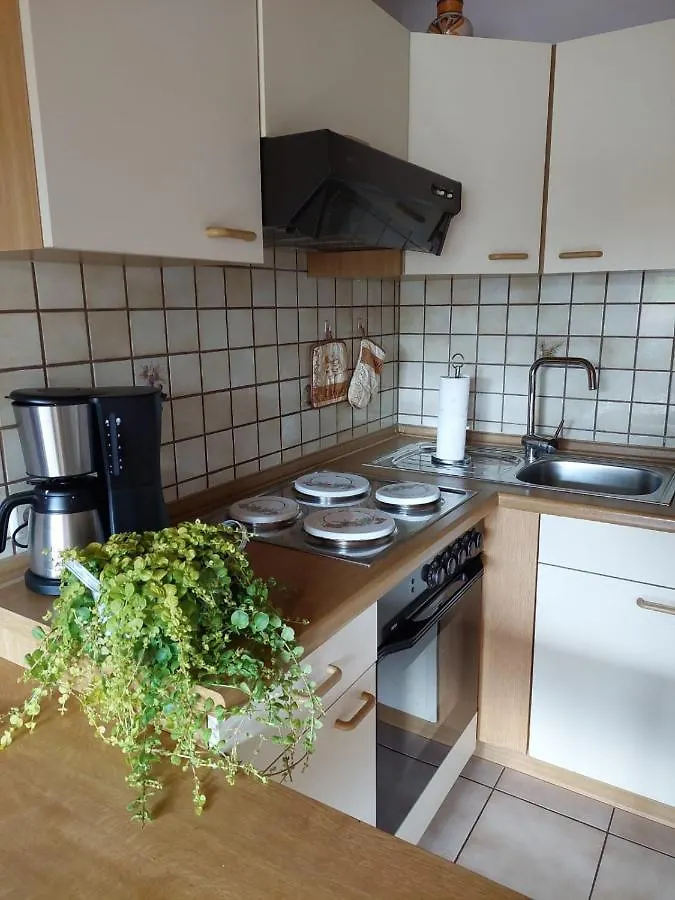 Ferienwohnung Meissner Bad Rodach 0*,